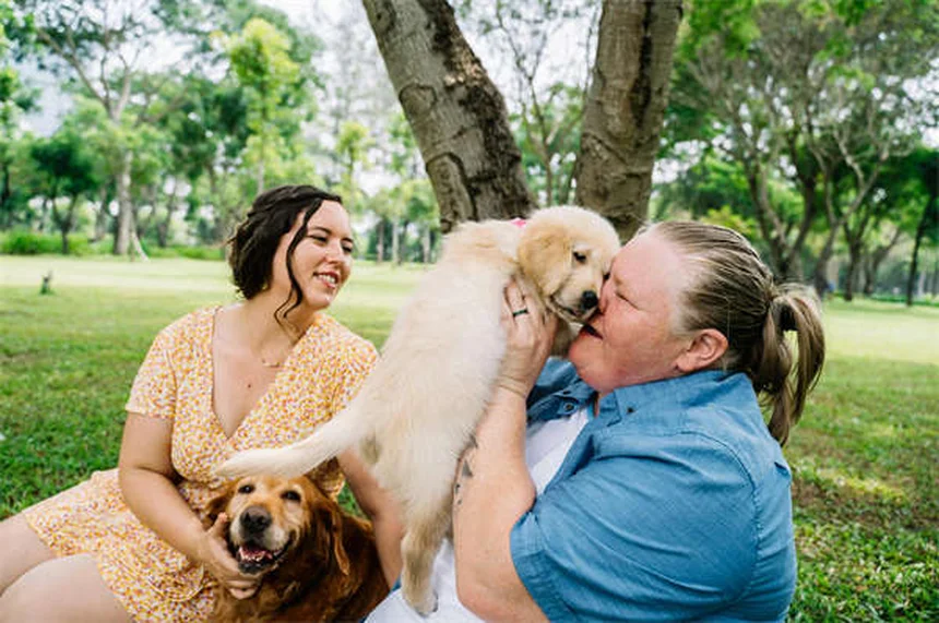 搜救犬训练の真実：ペン獣医ワーキングドッグセンターが教える育成法